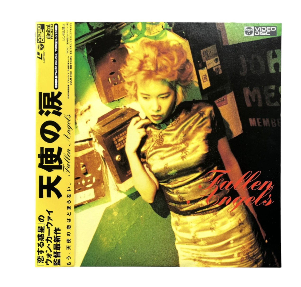 Vintage 1995 Fallen Angels Japanese Picturedisc