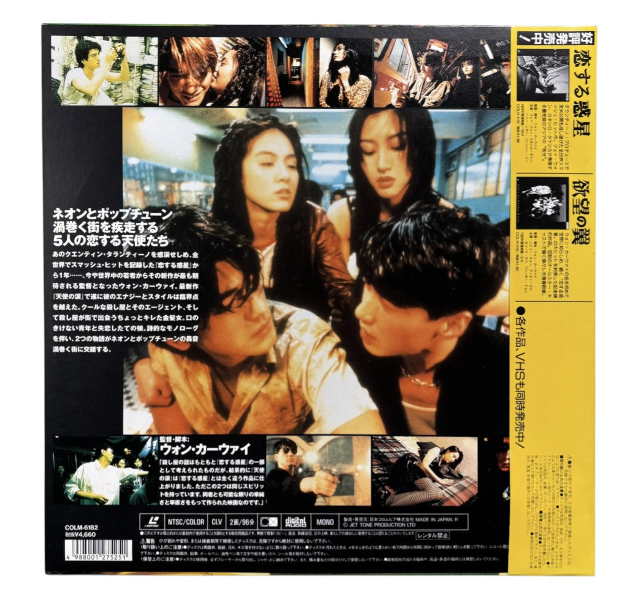 Vintage 1995 Fallen Angels Japanese Picturedisc